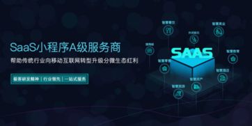 虎脉的saas产品为什么比其它公司的saas产品更受欢迎