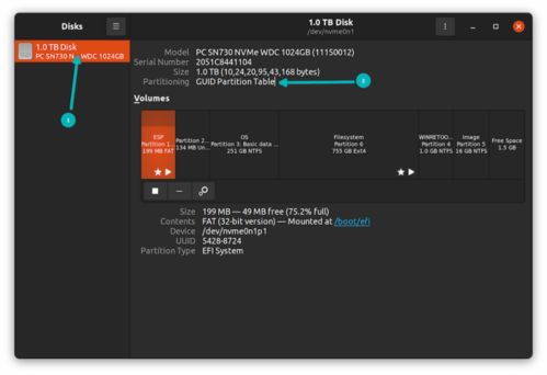 技术 如何在 windows 和 linux 上确定系统使用的是 mbr 还是 gpt 分区