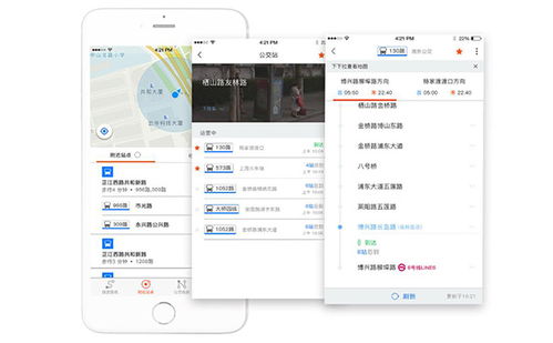 绥芬河小程序开发软件公司,小程序开发制作多少钱