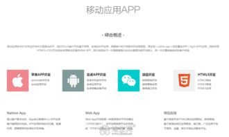南昌app开发,软件定制开发,oa系统已完成 南昌网站制作